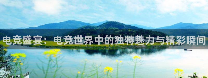 南宫电竞贴吧：电竞盛宴：电竞世界中的独特魅力与精彩瞬间
