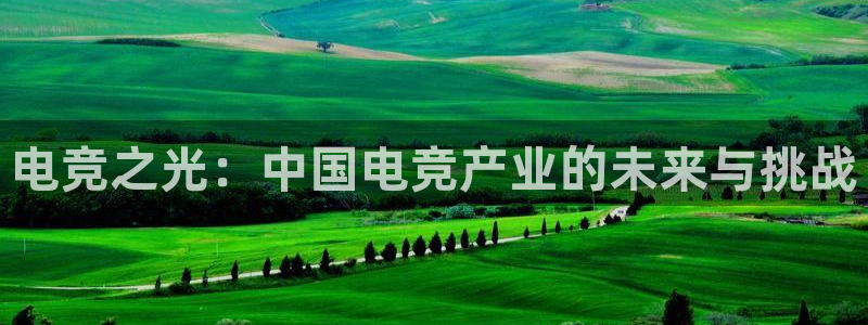 南宫电竞网：电竞之光：中国电竞产业的未来与挑战