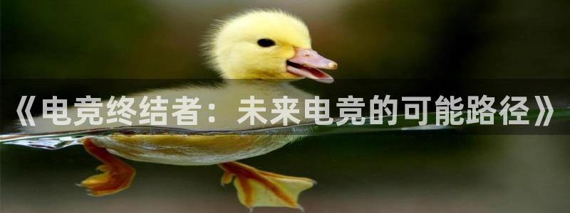 南宫电竞官网：《电竞终结者：未来电竞的可能路径》