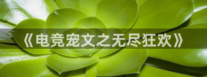 南宫电竞贴吧：《电竞宠文之无尽狂欢》