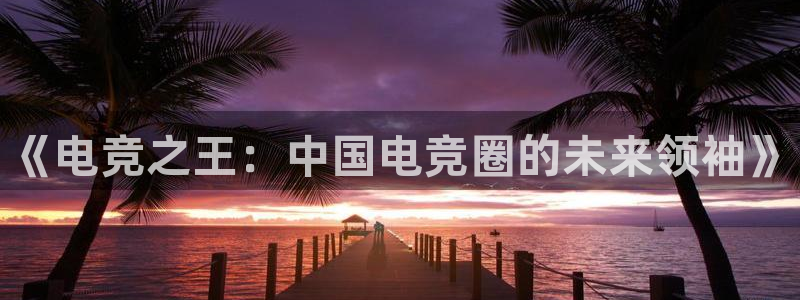 南宫电竞网：《电竞之王：中国电竞圈的未来领袖》