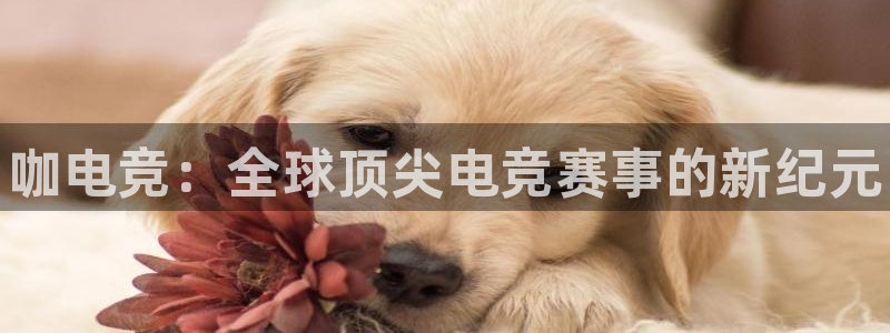 南宫电竞注册：咖电竞：全球顶尖电竞赛事的新纪元