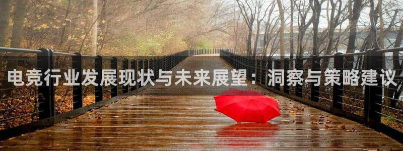南宫电竞平台：电竞行业发展现状与未来展望：洞察与策略建议