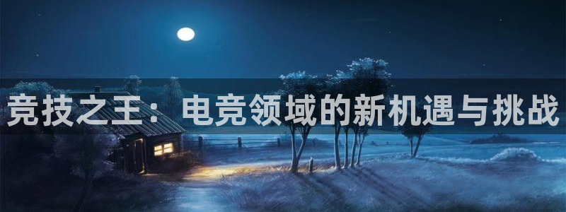 南宫电竞官网：竞技之王：电竞领域的新机遇与挑战