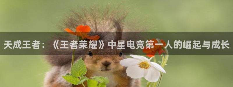 南宫电竞：天成王者：《王者荣耀》中星电竞第一人的崛起与成长